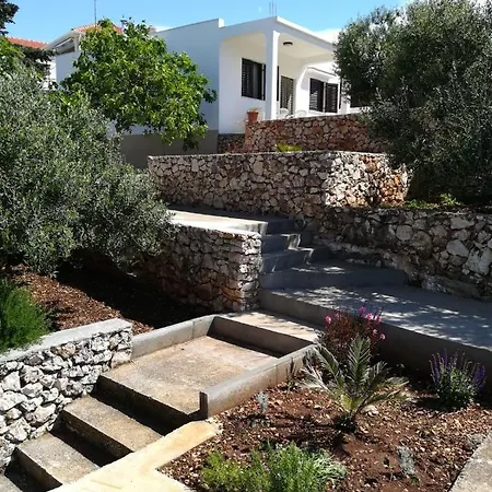 By The Sea Razanj, - 17452 Apartment